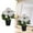 White, variant on Artificial Begonia Flower in Pots, Fake Flowers in Vase Fake Plants for Indoor Bathroom Office Desk Shelf Table Centerpieces, Realistic Faux Potted Plants Desk Plant Decorative Silk Plants, White