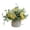 E, variant on Artificial Potted Plant Multi-Color Rose and Hydrangea Arrangement, Decorative Ceramic Pot, Pre-Potted for Home Office Desk Entryway, Long-Lasting Colors