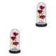 thumbnail image 1 of Bearachild Rose Flower In Day Decor Light LED Valentine's Rosa roja 2Conjunto, 1 of 1