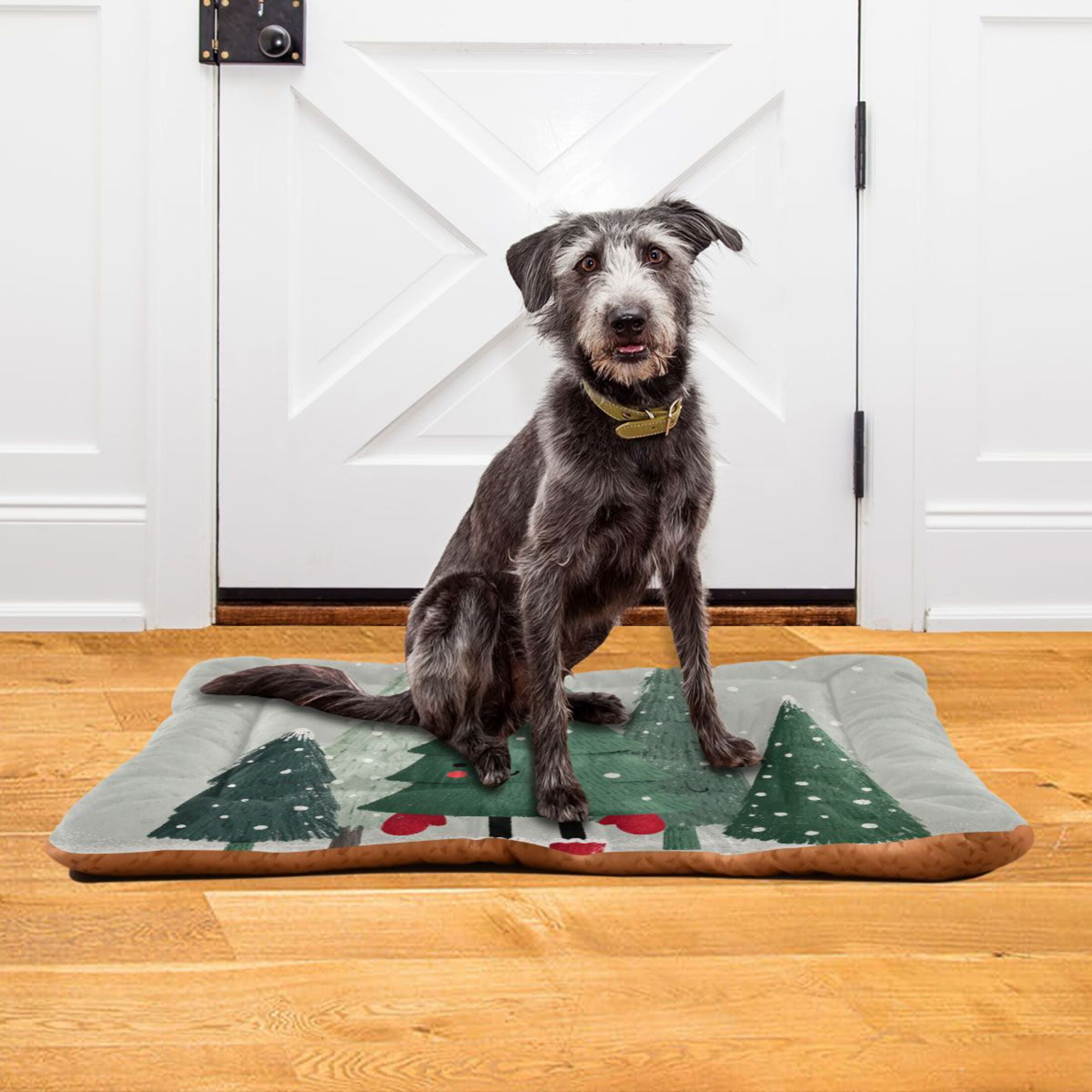 Cozy Mat Pet Bed Indoor Outdoor Warm Soft For Cat Dog Puppy(S/M) Red Shoes and Gloves