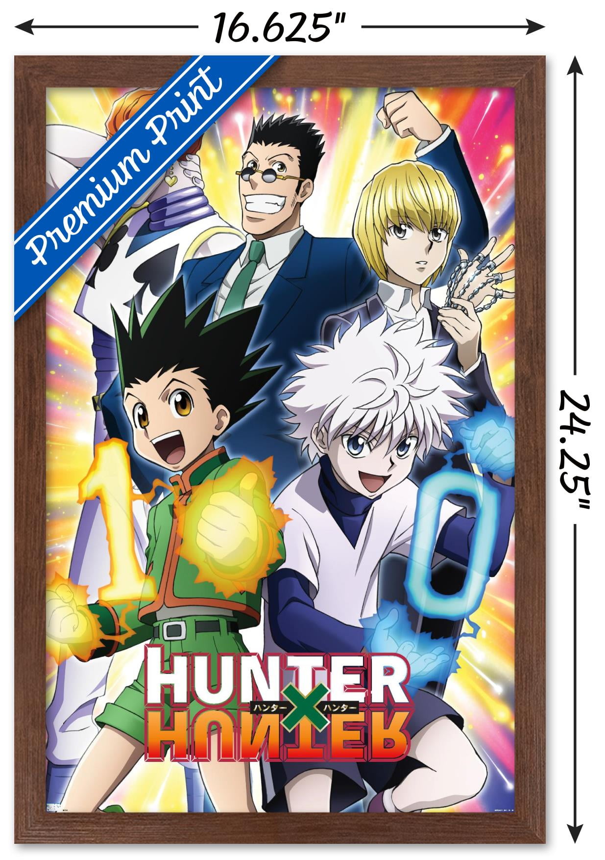Hunter X Hunter - 10th Anniversary Wall Poster, 14.725