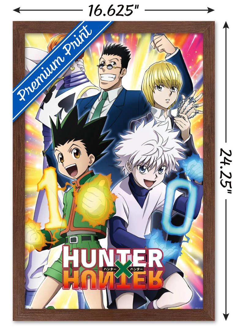 Hunter X Hunter - 10th Anniversary Wall Poster, 14.725