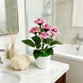 View all media