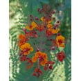 thumbnail image 2 of Garber, Howie 12x14 White Modern Wood Framed Museum Art Print Titled - Orange and red circular flower-Red Bird of Paradise-Desert Botanical Gardens-Phoenix-Arizona, 2 of 4