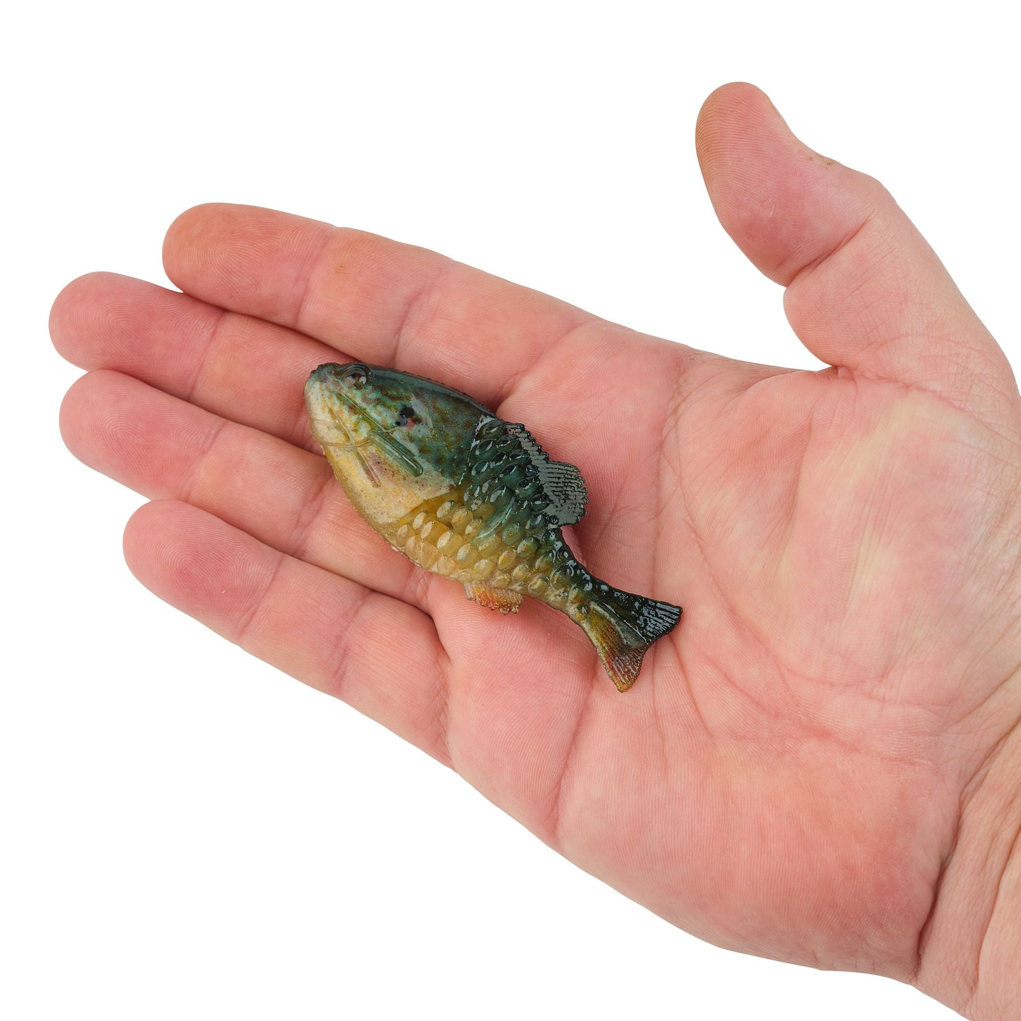(3 pack) Berkley PowerBait Gilly 90 Fishing Soft Bait HD Pumpkinseed