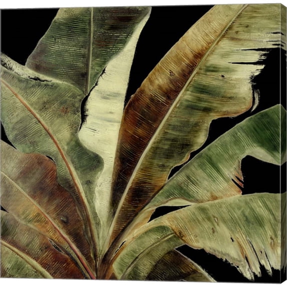 Great Art Now Uraba Palm on Black I by Patricia Pinto, Canvas Wall Art, 24W x 24H