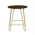 thumbnail image 3 of Carolina Classics Ethan 20 In Round Side Table in Elm and Gold, 3 of 4
