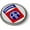 Metal Bezel, variant on BestLicensePlateFrames - U.S. Army 82nd Ariborne Division 3D Domed CAR Emblem Badge Sticker Chrome Metal Bezel - Official U.S. Army Licensed Product