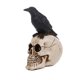 thumbnail image 2 of 1 pieza de decoración de calavera de Halloween para decoración de Halloween., 2 of 3