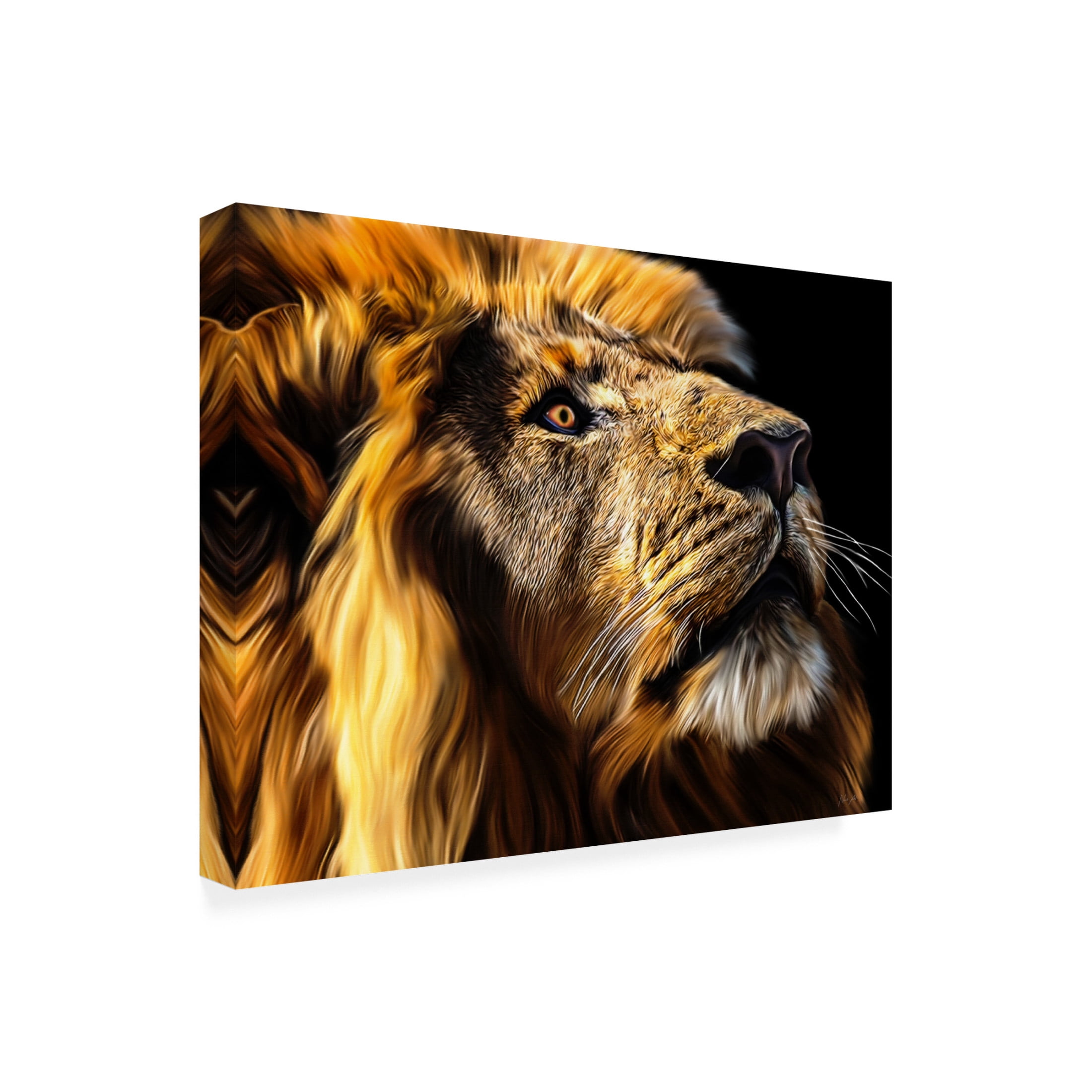 Trademark Fine Art Lord Amihere  Leo Canvas Wall Art