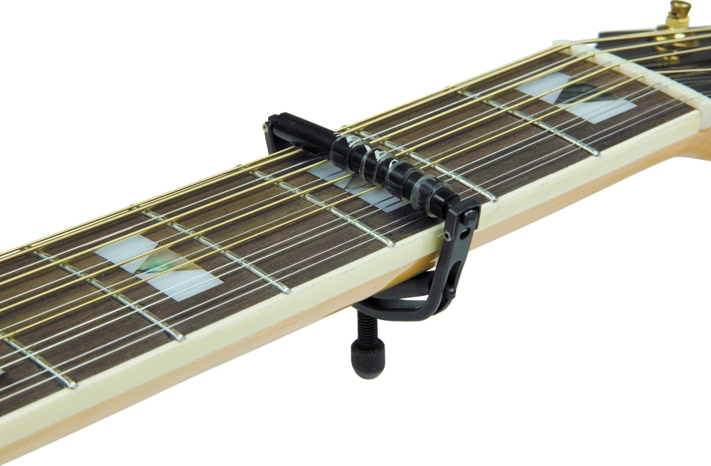 12-String Guitar, with Radius P-12E