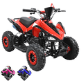 thumbnail image 1 of Cuatrimoto a Gasolina 49 cc 2T Arranque Manual Doble Freno de Disco Embrague Automático Carga Máx 50 kg Hasta 40 km/h, 1 of 8