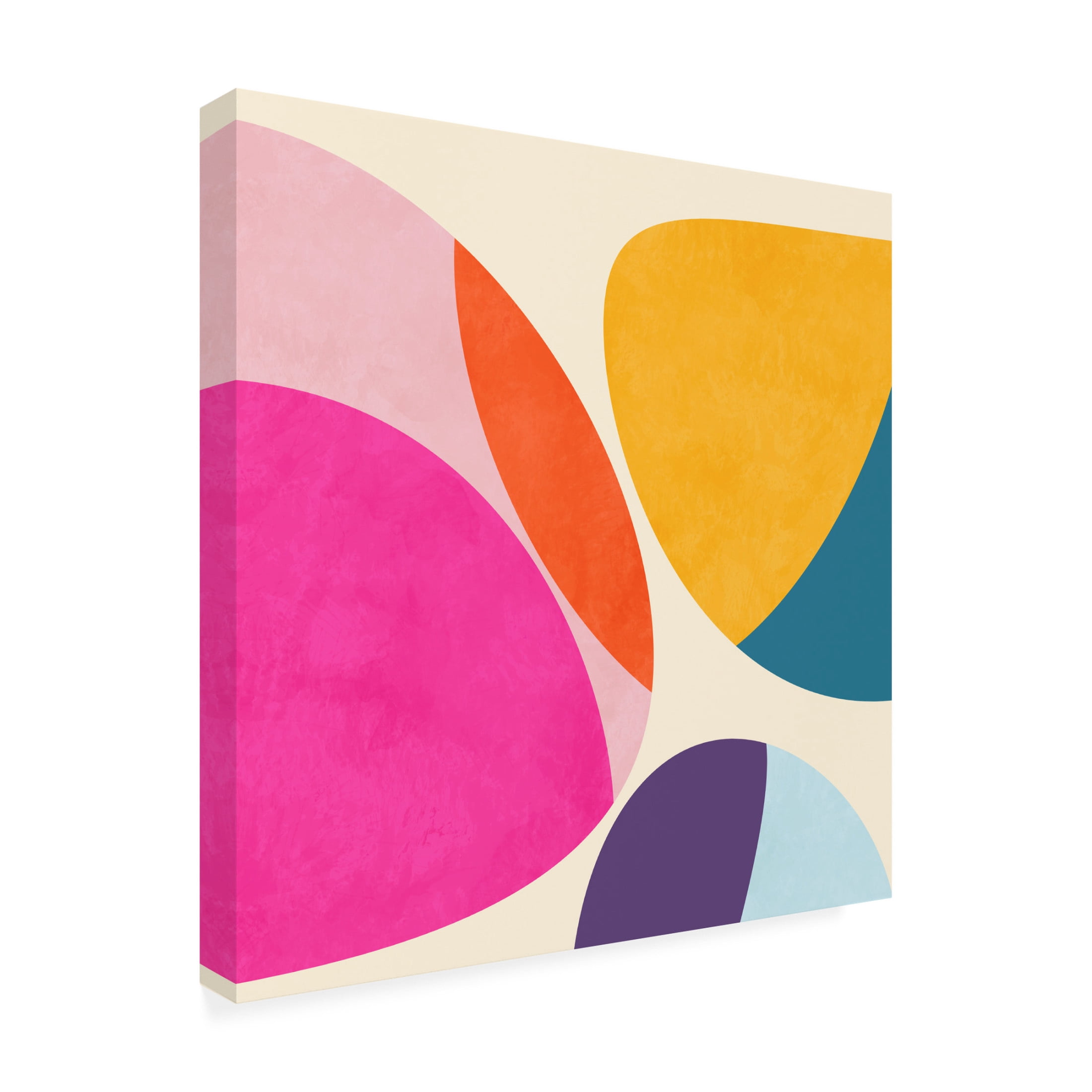 Trademark Fine Art Ana Rut Bre Pattern3 Mid Bunt 3 Canvas Wall Art
