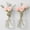 Clear, variant on 2 Pack Clear Glass Wall Vase Set - Modern Farmhouse & Boho Wall Decor for Entryway, Hallway, Bathroom, Living Room, Dining Room, Narrow Spaces