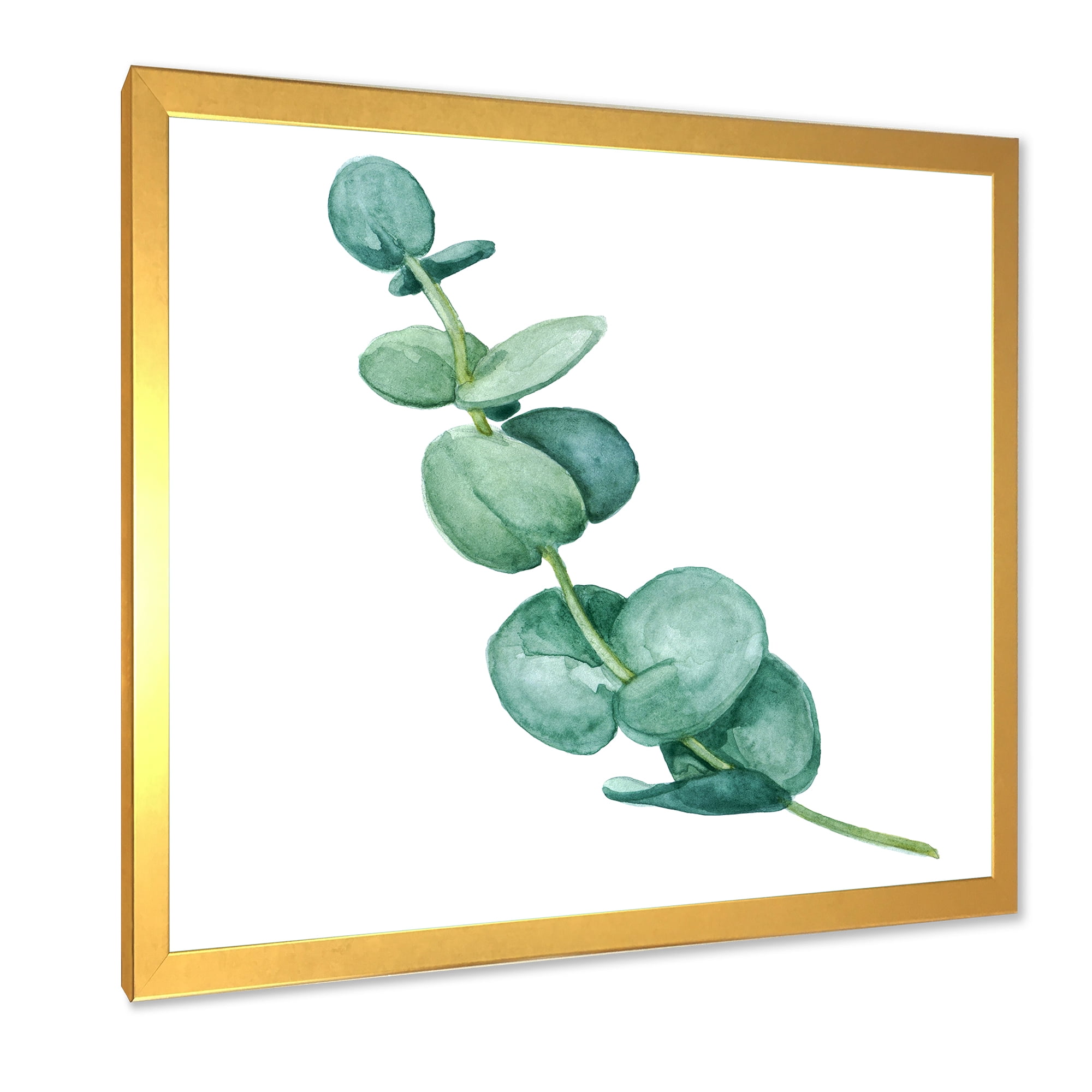 Designart 'Young Eucalyptus Branches and Leaves II' Traditional Framed Art Print