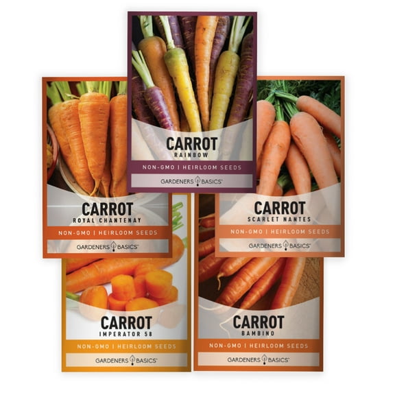 Carrot Seeds For Planting | 5 Variety Pack