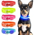 thumbnail image 1 of shiyou-Led Small Dog Collar - Waterproof Dog Light Up Collars Rechargeable, Adjustable Lighted Puppy Collar for Small Dogs and Cats (Blue, X-Small (Pack of 1)), 1 of 4