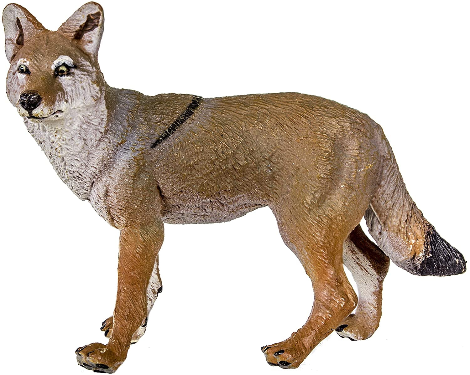 safari ltd coyote