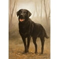 thumbnail image 2 of Silver, John 11x14 Gold Ornate Wood Framed with Double Matting Museum Art Print Titled - 316, 2 of 4
