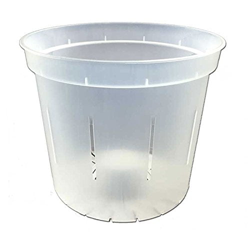 rePotme 6 inch Orchid Pot - Slotted Clear Orchid Pots - 6 Pack
