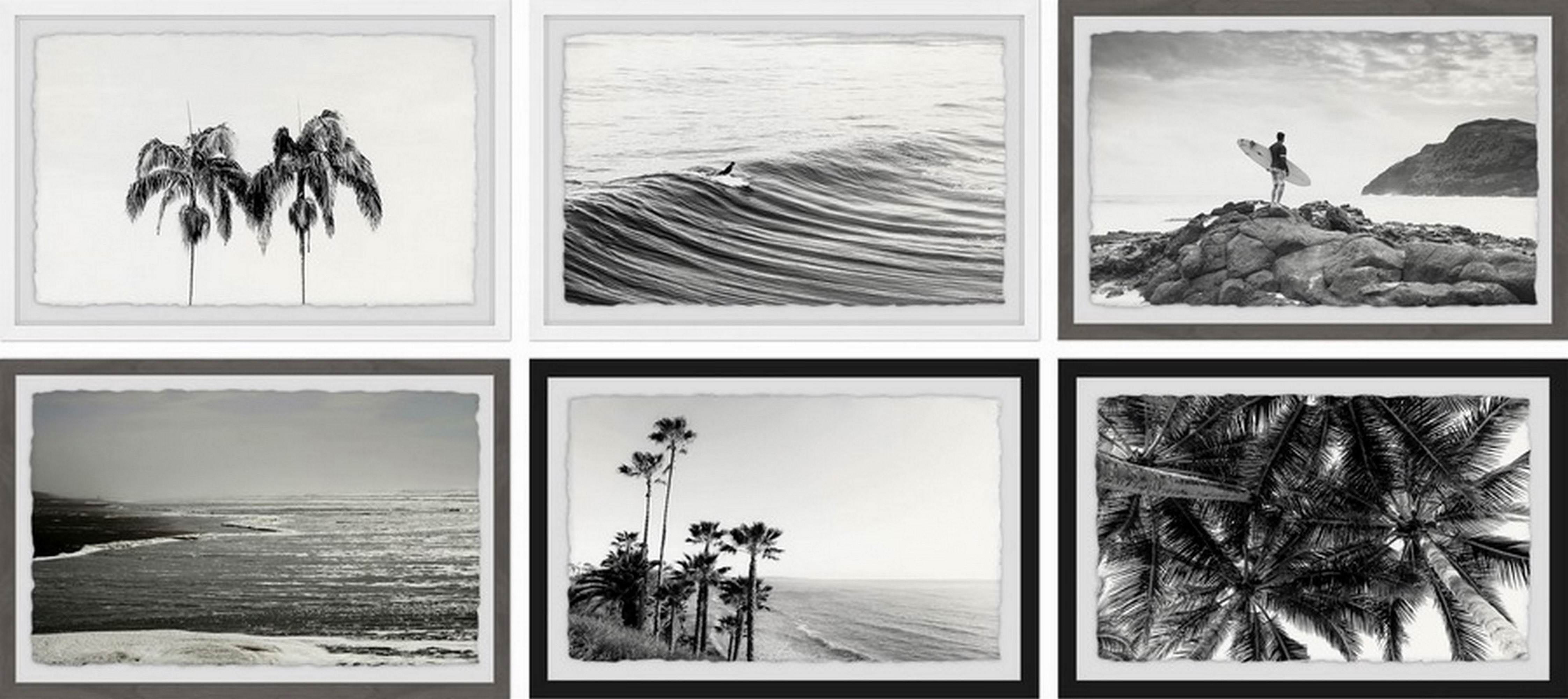 Summer Palms and Waves Hexaptych