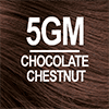 5GM Chocolate Chestnut