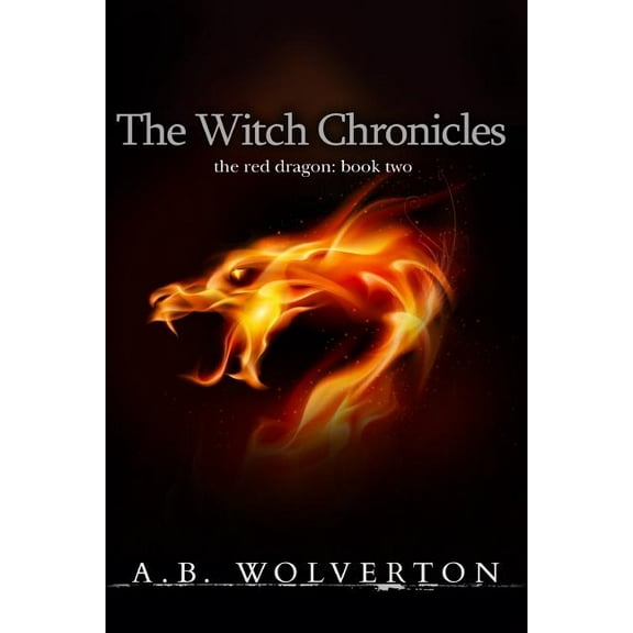 The Witch Chronicles : The Red Dragon: Book 2 (Paperback)