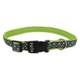 thumbnail image 1 of Pet Attire by Coastal Large 18-26" Black Lime Skulls Neoprene Overlay Adjustable Dog Collar, 1 of 3