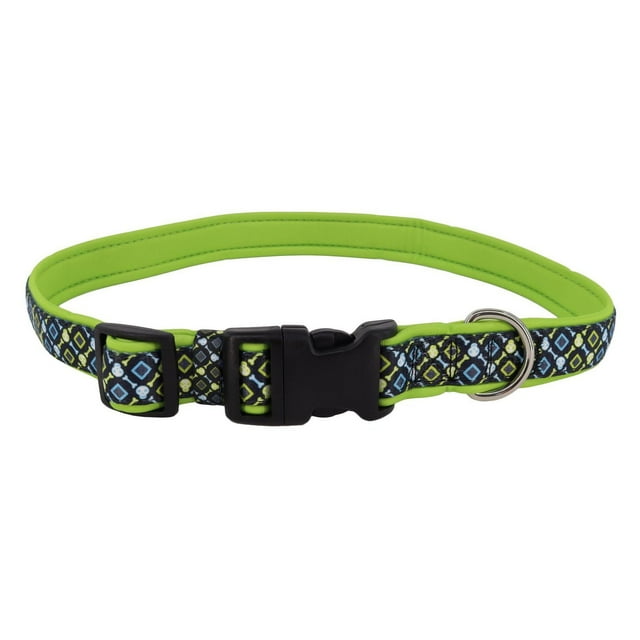 Pet Attire by Coastal Large 18-26" Black Lime Skulls Neoprene Overlay Adjustable Dog Collar