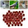thumbnail image 4 of Qualitchoice 100Pcs 2022 Aluminium Dove Racing Pigeon Foot Rings Bands Aluminum Foot 8mm Red, 4 of 8