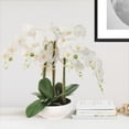 thumbnail image 2 of 19"x13" White Phalaenopsis Orchid in 9-Inch Bowl – Artificial Flower Arrangement for Home, Office & Event Décor, 2 of 5