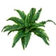 thumbnail image 2 of Hierba persa artificial | Ramo de hojas de helecho artificiales | 24 ramas de tela de seda | Decoración de 53 cm para interiores y exteriores, hogar y oficina, 2 of 7