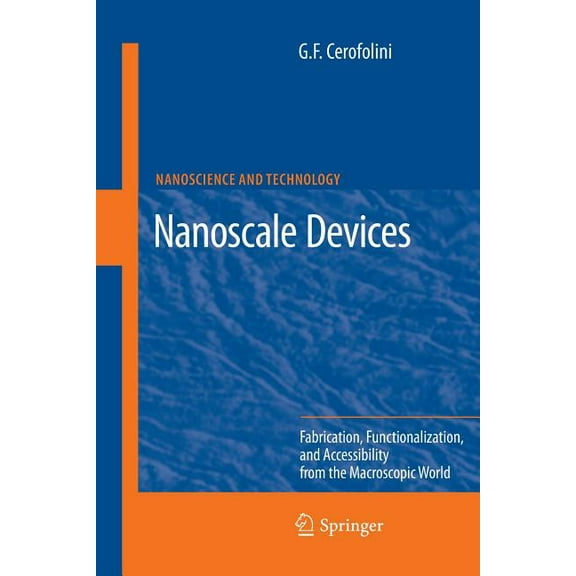 Nanoscience and Technology Nanoscale Devices: Fabrication, Functionalization, and Accessibility from the Macroscopic World, (Paperback)