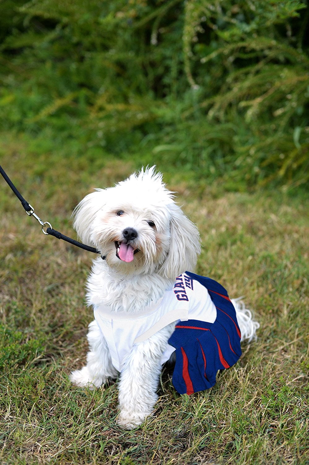 Pets First NFL New York Giants Cheerleader Outfit, 3 Sizes Pet Dress Available. Licensed Dog Outfit