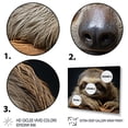 thumbnail image 3 of Designart "Adorable Sloth Portrait" Animals Floater Framed Canvas Wall Art, 3 of 7