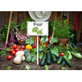 thumbnail image 3 of Eveokoki Vegetable Signs With Stake Broccoli Garden Signs For Vegetables Herb Garden Signs Garden Name Stakes For Plants 8x12inch Outdoor Indoor Herbs Flowers Potted Plants, 3 of 6