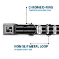 thumbnail image 5 of Buckle-Down Pet Collar, Dog Collar Metal Seatbelt Buckle, Guitar Neck Black White, 9.5 to 13 Inches 1.0 Inch Wide, 5 of 8