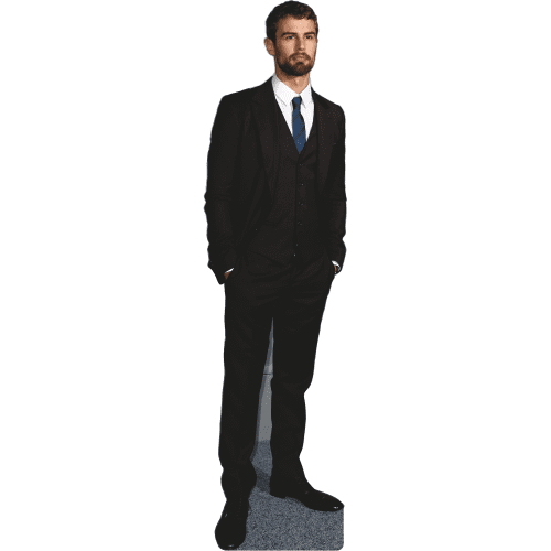 SC2588 Theo James Cardboard Cutout Standee Standup