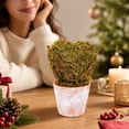 thumbnail image 5 of Fmbmuo Christmas Decor Creative Mini Tree Heart Shaped Desktop Ornament Festive Potted Decor for Desk and Shelf Ornaments,Green, 5 of 5