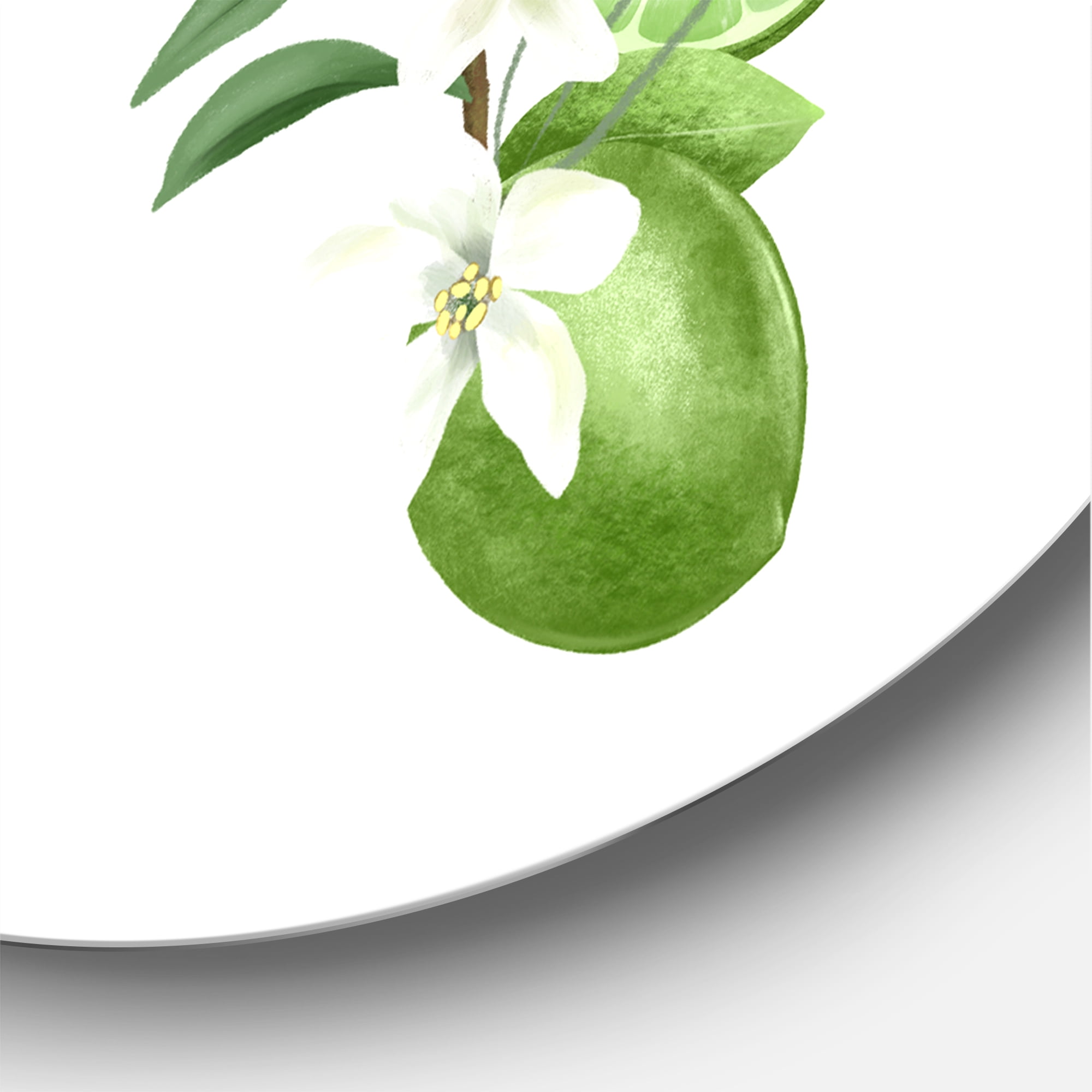 Designart 'Bouquets Of Blooming Lemon Tree Branches on White' Traditional Circle Metal Wall Art 36x36 - Disc of 36