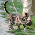 thumbnail image 3 of GOOHOCHY 1 juego de correa y arnés para gatos, arnés para gatitos, juego de correa, cuerda para pasear perros y gatos pequeños para exteriores., 3 of 7