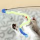 thumbnail image 2 of Juguete interactivo para gatos con forma de pelota de peluche, varita de juguete para gatos, divertido juguete de ejercicio para gatos de interior, para el hogar y tiendas de mascotas, color azul, 2 of 7