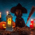 thumbnail image 4 of Ramiter Decoration Lights Atmosphere Lights Good-Looking Party Decoration Ligh, 4 of 5