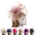 thumbnail image 2 of Coofit Fascinateur pour Femmes Mode Élégant Pince à Cheveux Fascinateur Fête du Thé Fascinateur, 2 of 6