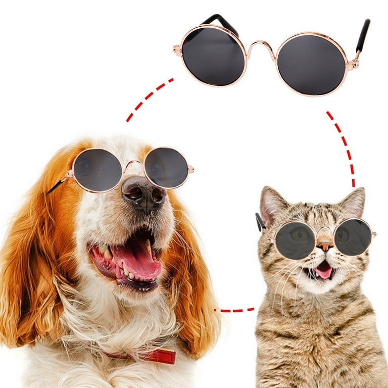 Dog visor and sunglasses online