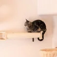 thumbnail image 4 of Armarkat Wall Series: Real Wood Scratching Post W1907D, 4 of 6