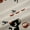 Black Beige, variant on jejeloiu Colorful Cartoon Cat Blackout Curtains Set of 2 (52x84 Each),Kawaii Kitten Animal Window Curtains,Multicolor Pet Animals Curtains and Drapes For Girl Boys,Ultra Soft Home Decor