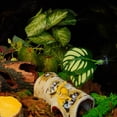 thumbnail image 4 of Decoración de plantas artificiales para tanque de reptiles, camaleón, lagarto, rana arborícola, tortuga, accesorio de terrario, plataforma para tomar el sol con ventosa, 4 of 8