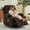 1cm Corduroy | Brown, variant on Memoryfield Oversized Swivel Recliner Chair with Massage and Heat for Adults, Supports 400 Lbs, Beige