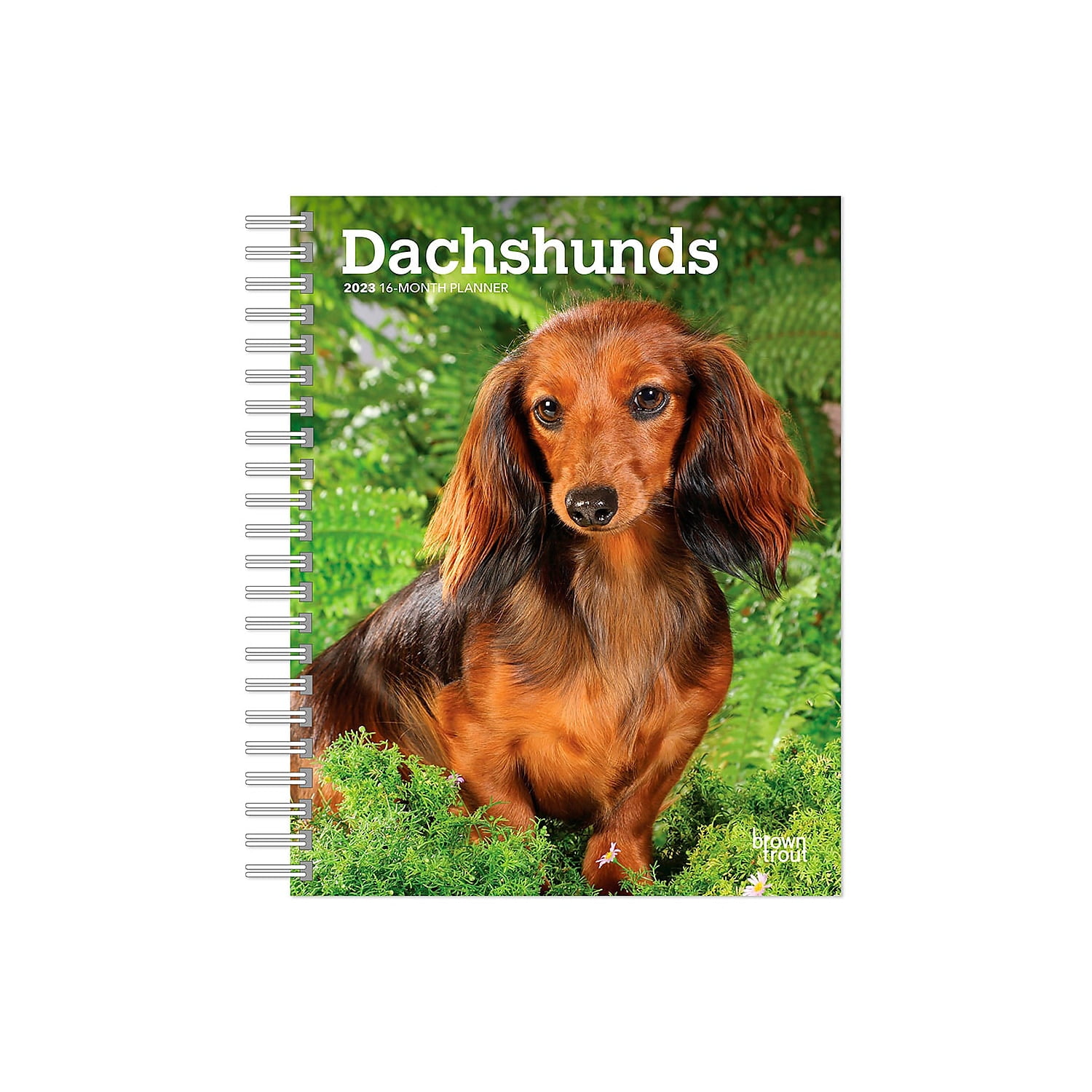 2023 BrownTrout Dachshunds 6'' x 7.75'' Weekly Engagement Planner Calendar Multicolor (9781975453688